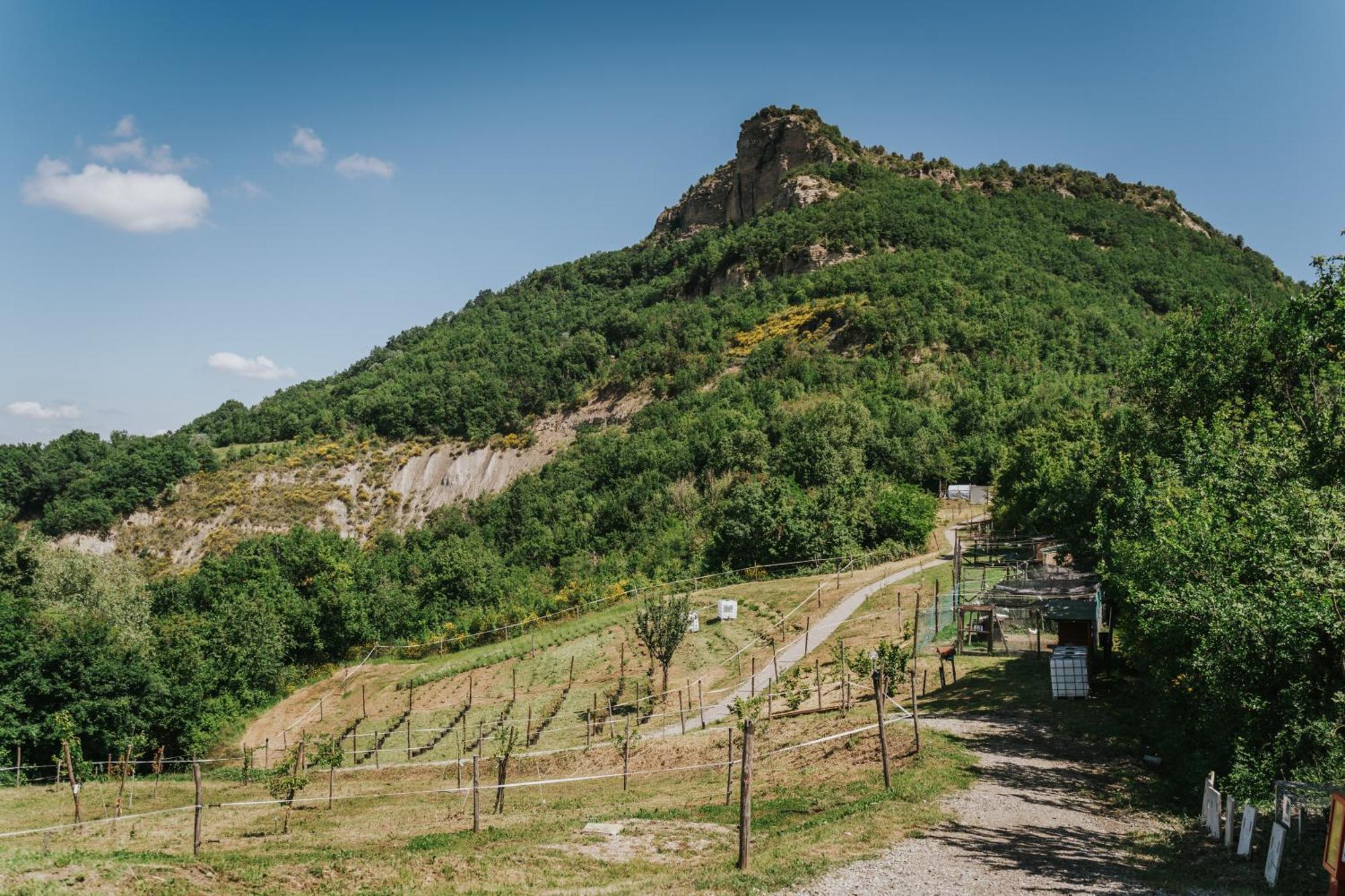 Agricampeggio Ca Di Mazza Monzuno Esterno foto